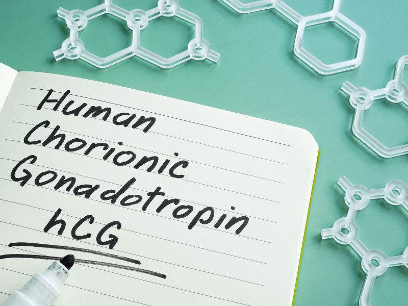 Hormon HCG wie funktioniert ein schwangerschaftstest